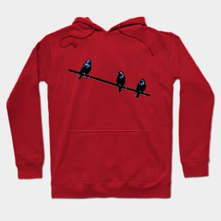 starlings sitting on a wire Hoodie